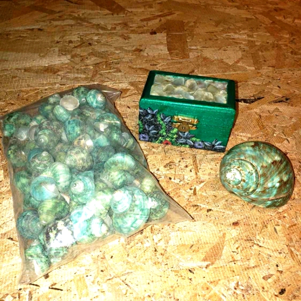OCEAN Theme Decor